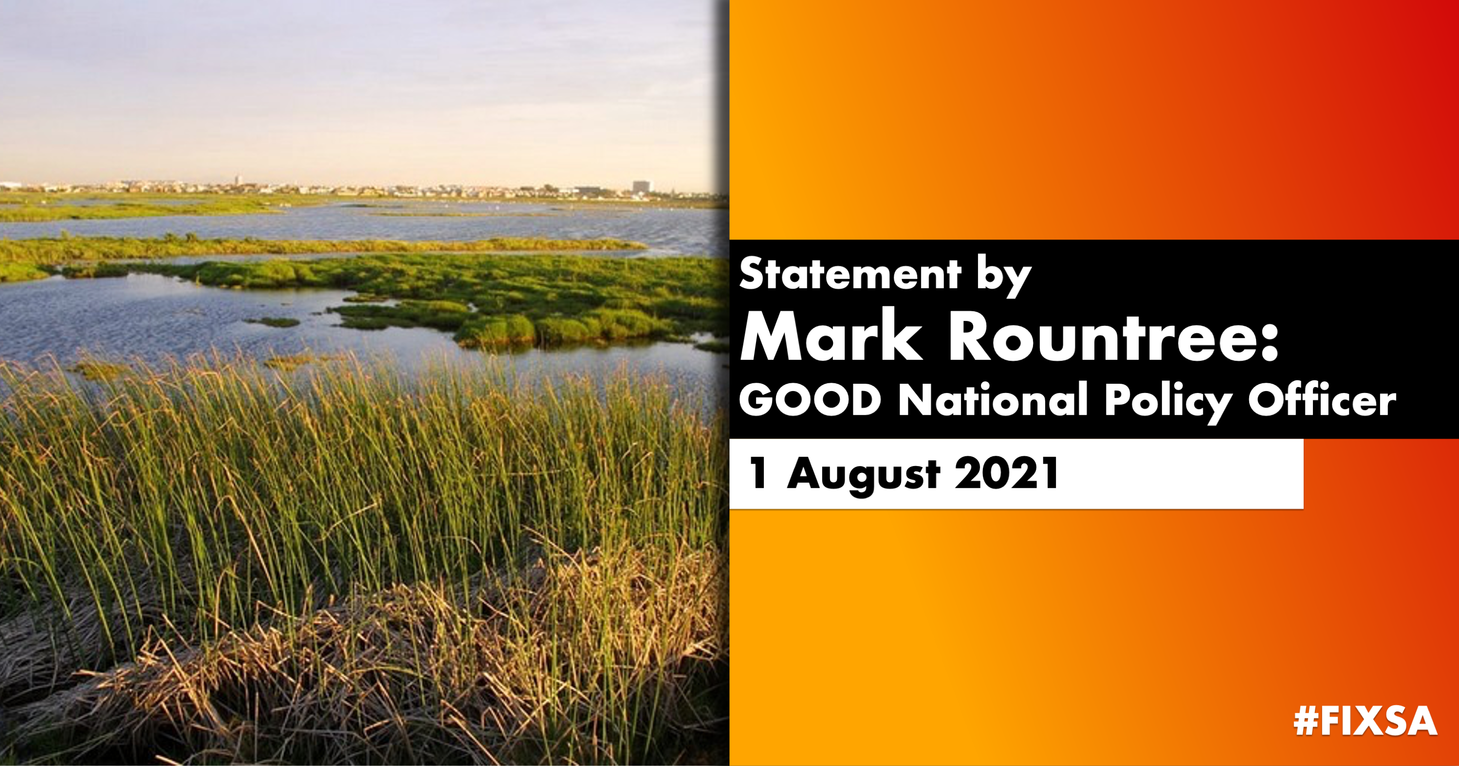 Read more about the article GOOD’s request for environmental  assistance answered as Xanthea Limberg’s department continues to pollute Cape Town’s wetlands