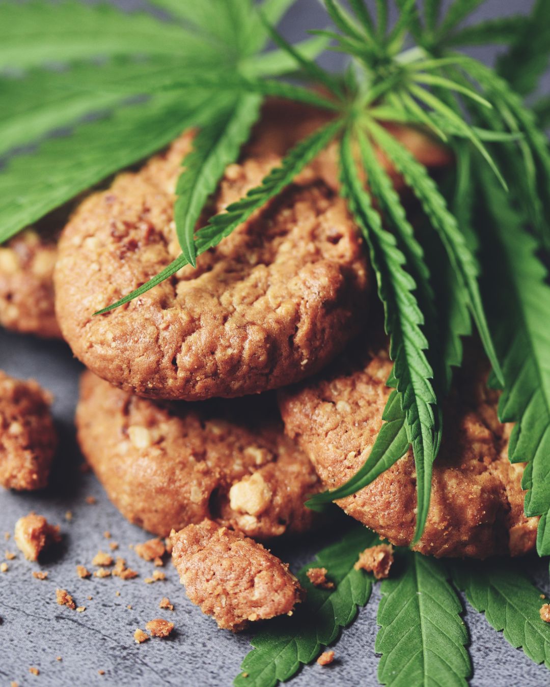 Read more about the article CANNABIS EDIBLES BAN: HEALTH MINISTER IS SMOKING HIS SOCKS