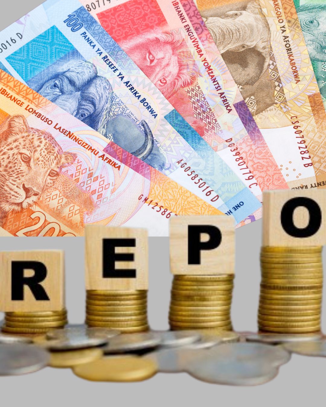 Read more about the article SARB REPO RATE DECISION: RELIEF NEEDED